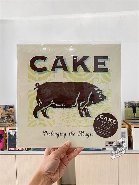 Prolonging the Magic of Specialty Cakes: A Step-by-Step Guide